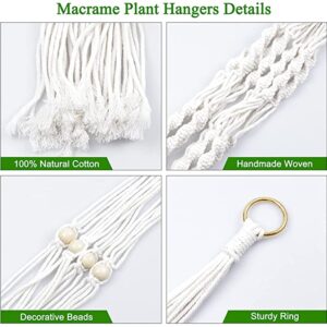 Pack Macrame Plant Hangers