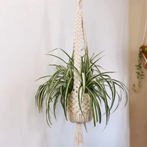 Large Macrame Basket Plant Hanger | Classic plant holder | Timeless home decor | Ceiling and window hanging planter