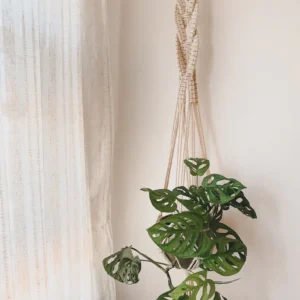 Macrame “Infinity” Plant Hanger / Gifts for her/ Houseplants / Boho / Unique Gifts / Handmade / Wall Hanging / Eclectic / Gifts for him