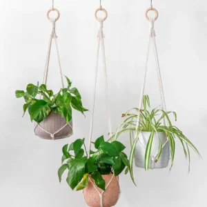Simple Minimalist No Tassel Macrame Plant Hanger Without Tail